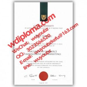 Curtin University graduation certificate
